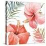 Tropical Blush III-Lisa Audit-Stretched Canvas