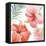 Tropical Blush III-Lisa Audit-Framed Stretched Canvas