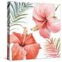 Tropical Blush III-Lisa Audit-Stretched Canvas