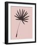 Tropical Blush Pink Leaf II-Jasmine Woods-Framed Art Print