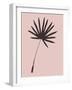 Tropical Blush Pink Leaf II-Jasmine Woods-Framed Art Print