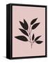 Tropical Blush Pink Leaf III-Jasmine Woods-Framed Stretched Canvas