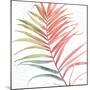 Tropical Blush VI-Lisa Audit-Mounted Art Print