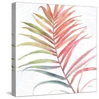 Tropical Blush VI-Lisa Audit-Stretched Canvas