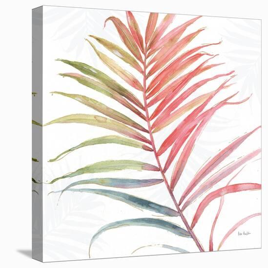 Tropical Blush VI-Lisa Audit-Stretched Canvas