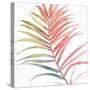 Tropical Blush VI-Lisa Audit-Stretched Canvas