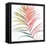 Tropical Blush VI-Lisa Audit-Framed Stretched Canvas