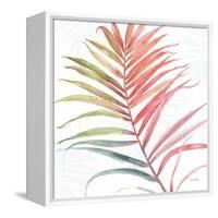 Tropical Blush VI-Lisa Audit-Framed Stretched Canvas