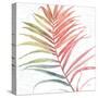 Tropical Blush VI-Lisa Audit-Stretched Canvas