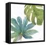 Tropical Blush VII-Lisa Audit-Framed Stretched Canvas