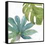 Tropical Blush VII-Lisa Audit-Framed Stretched Canvas