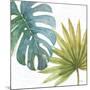 Tropical Blush VIII-Lisa Audit-Mounted Premium Giclee Print