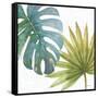 Tropical Blush VIII-Lisa Audit-Framed Stretched Canvas