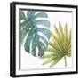 Tropical Blush VIII-Lisa Audit-Framed Premium Giclee Print