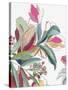 Tropical Botanical Study II-Asia Jensen-Stretched Canvas