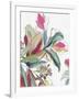 Tropical Botanical Study II-Asia Jensen-Framed Art Print