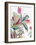 Tropical Botanical Study II-Asia Jensen-Framed Art Print