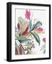 Tropical Botanical Study II-Asia Jensen-Framed Art Print