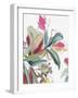 Tropical Botanical Study II-Asia Jensen-Framed Art Print