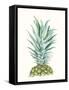 Tropical Botanicals 6-Natasha Marie-Framed Stretched Canvas