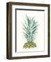 Tropical Botanicals 6-Natasha Marie-Framed Giclee Print