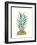 Tropical Botanicals 6-Natasha Marie-Framed Giclee Print