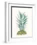 Tropical Botanicals 6-Natasha Marie-Framed Giclee Print