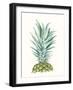 Tropical Botanicals 6-Natasha Marie-Framed Giclee Print