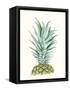 Tropical Botanicals 6-Natasha Marie-Framed Stretched Canvas