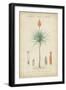 Tropical Botanique II-Vision Studio-Framed Art Print