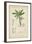 Tropical Botanique III-Vision Studio-Framed Art Print