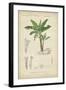 Tropical Botanique III-Vision Studio-Framed Art Print