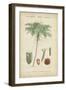 Tropical Botanique IV-Vision Studio-Framed Art Print