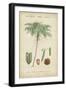 Tropical Botanique IV-Vision Studio-Framed Art Print