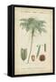 Tropical Botanique IV-Vision Studio-Framed Stretched Canvas