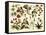 Tropical Botany Chart II-Meyers-Framed Stretched Canvas