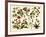 Tropical Botany Chart II-Meyers-Framed Art Print