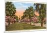 Tropical Boulevard, Galveston, Texas-null-Mounted Art Print