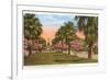 Tropical Boulevard, Galveston, Texas-null-Framed Premium Giclee Print