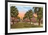 Tropical Boulevard, Galveston, Texas-null-Framed Premium Giclee Print