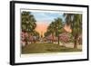 Tropical Boulevard, Galveston, Texas-null-Framed Art Print