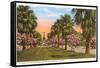 Tropical Boulevard, Galveston, Texas-null-Framed Stretched Canvas