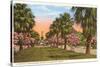 Tropical Boulevard, Galveston, Texas-null-Stretched Canvas