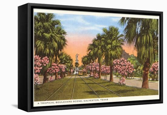 Tropical Boulevard, Galveston, Texas-null-Framed Stretched Canvas