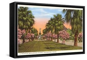 Tropical Boulevard, Galveston, Texas-null-Framed Stretched Canvas