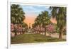 Tropical Boulevard, Galveston, Texas-null-Framed Art Print