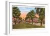 Tropical Boulevard, Galveston, Texas-null-Framed Art Print