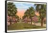 Tropical Boulevard, Galveston, Texas-null-Framed Stretched Canvas