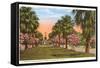 Tropical Boulevard, Galveston, Texas-null-Framed Stretched Canvas