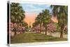 Tropical Boulevard, Galveston, Texas-null-Stretched Canvas